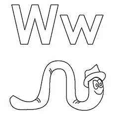 The-w-for-worm