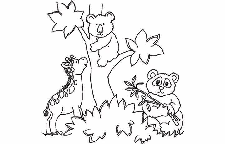 Zoo Coloring Pages Zoo Animals Zoo Animals