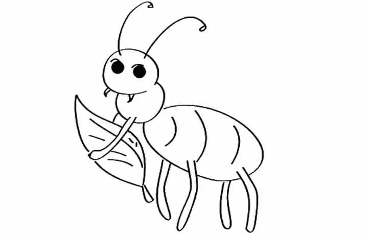 ant with leaf