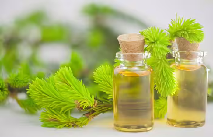 Tea Tree Essential Oil Home Remedies For Wisdom Tooth Pain - Tea Tree Essential Oil