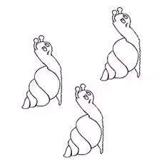 Grumpy Snails Coloring Sheet Grumpy Snails