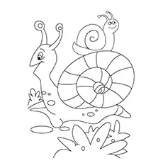 Mother And Baby Snail Printable to Color Free