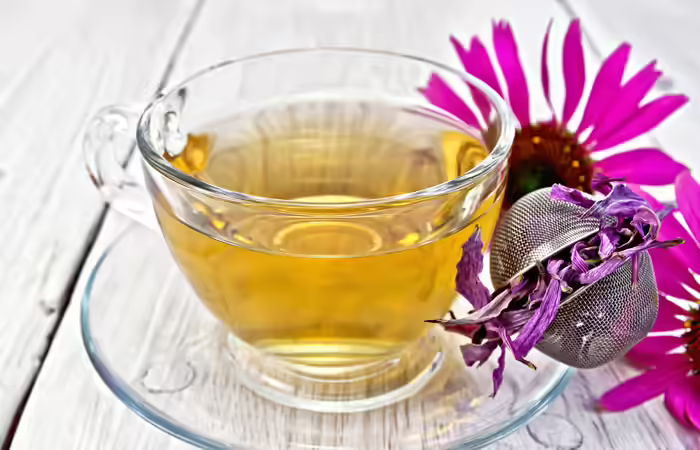 Home Remedies For Abscess - Echinacea Herb Home-Remedies-To-Treat-Abscess2