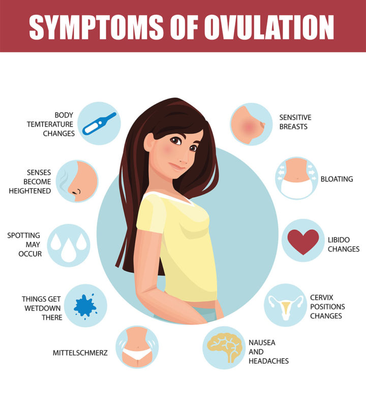 Signs And Symptoms Of Ovulation