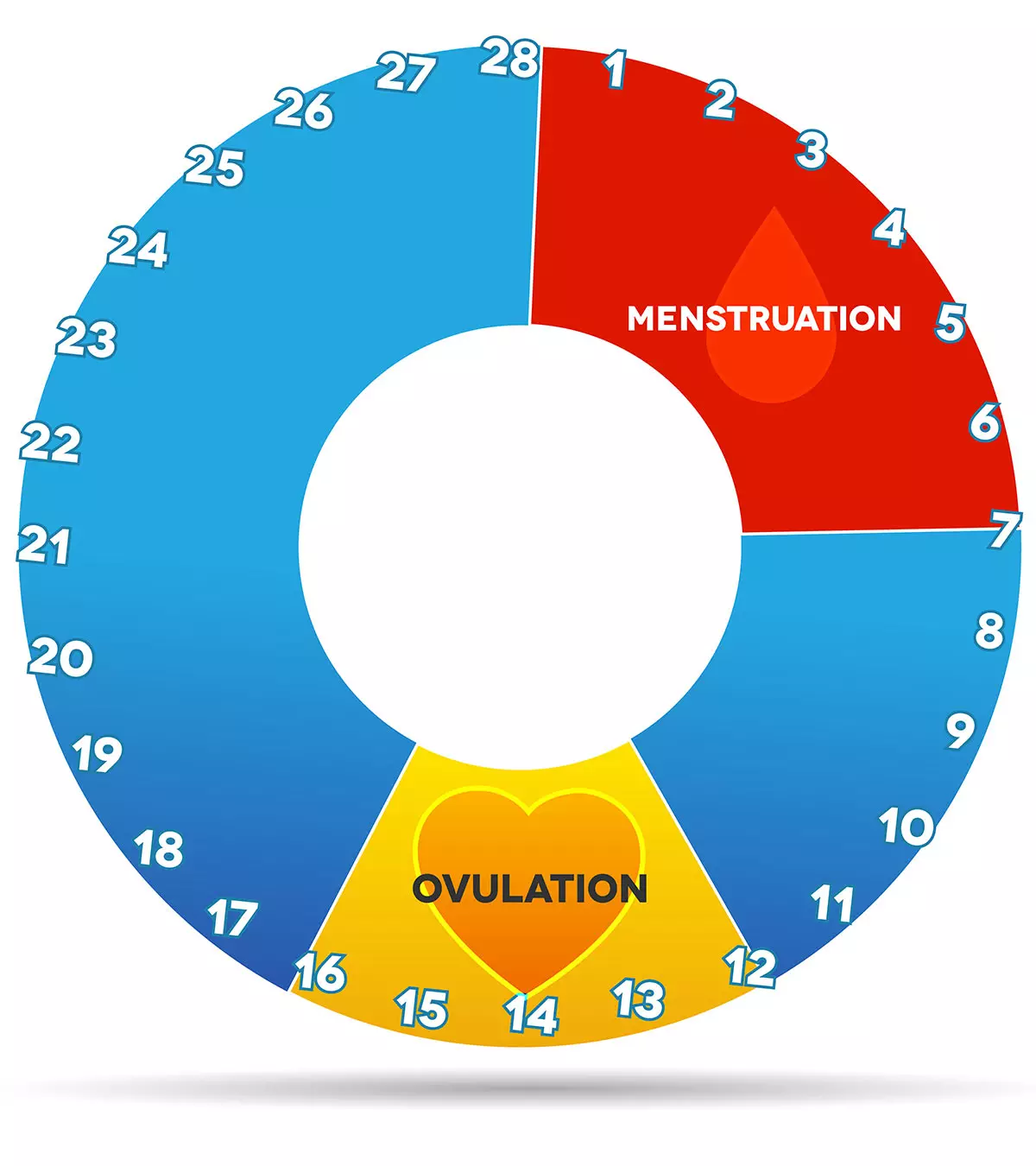 Cervical Mucus And Ovulation – Everything You Need To Know_image