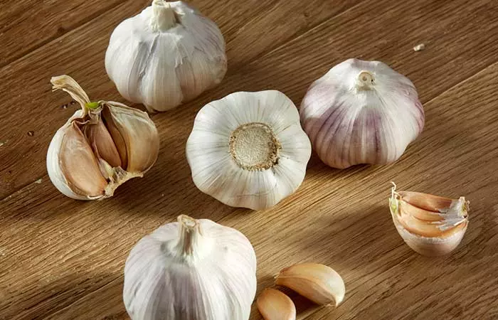 Garlic