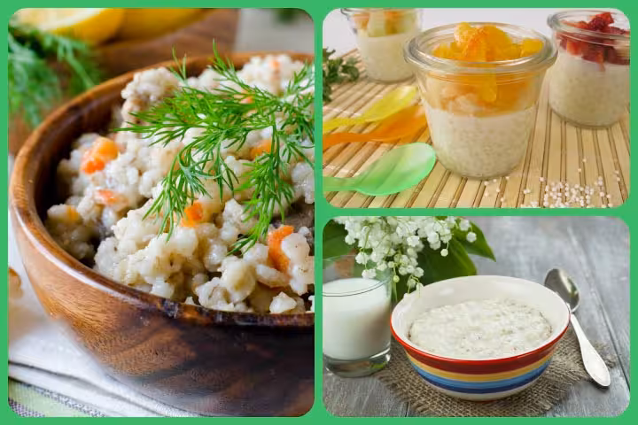 Sago Recipes For Babies Sago Recipes For Your Baby