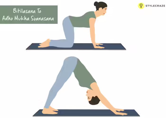 Tantric Yoga - Bitilasana To Adho Mukha Svanasana 3.-Bitilasana-To-Adho-Mukha-Svanasana