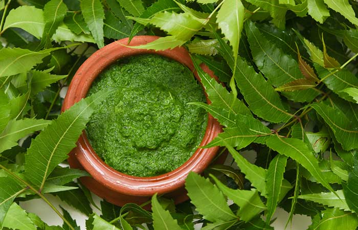 Indian Lilac Or Neem for cervical spondylosis Indian lilac or neem for cervical spondylosis