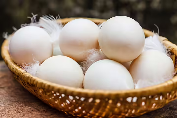 Pregnancy Power Foods-Eggs Eggs