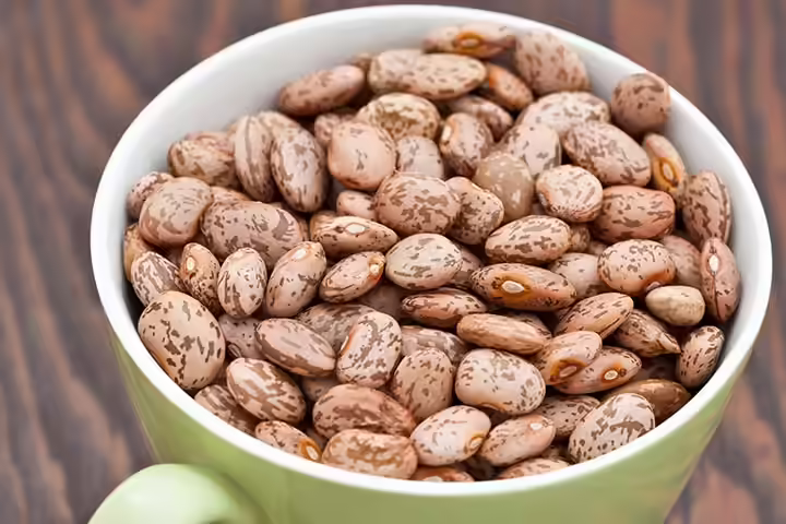 Pregnancy Power Foods-Pinto Beans Pinto Beans