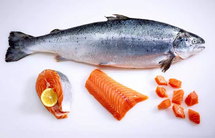 Salmon