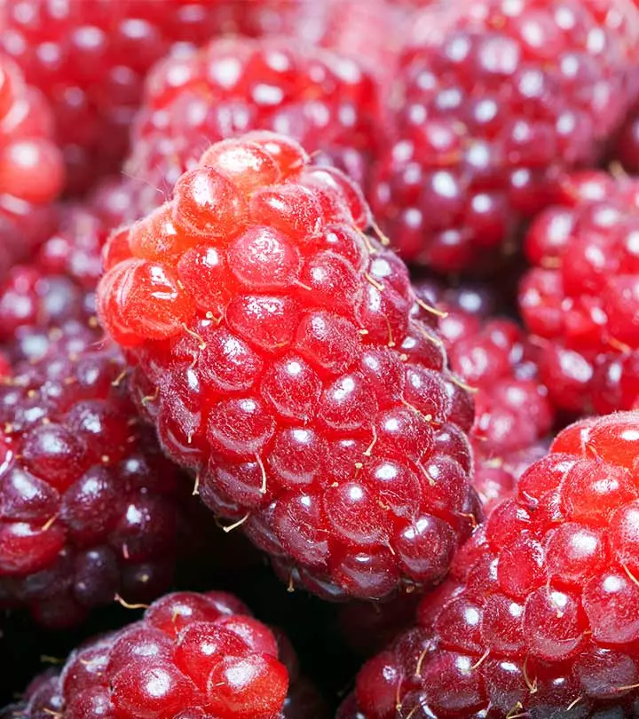 10 Amazing Health Benefits Of Loganberry