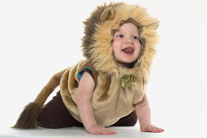 Baby Lion