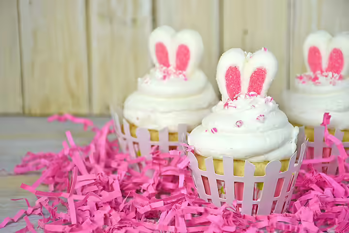 Bunny Cupcakes Bunny Cupcakes