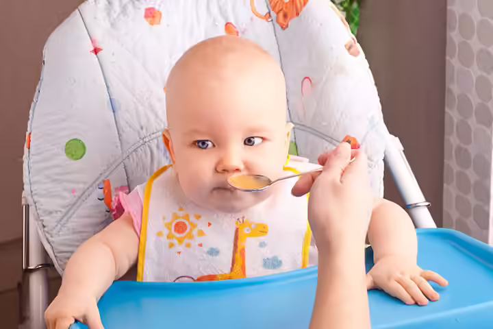 Chicken Puree For Babies Chicken Puree For Babies