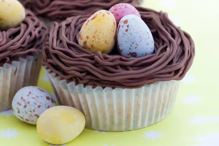 Chocolate Nest Cupcake Chocolate Nest Cupcake