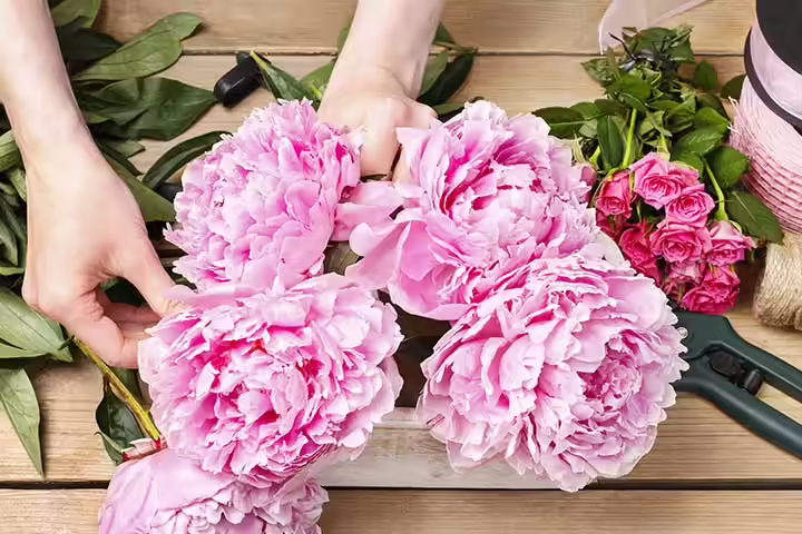 Family Tree Craft For Kids -Coffee Filter Flowers Coffee Filter Flowers