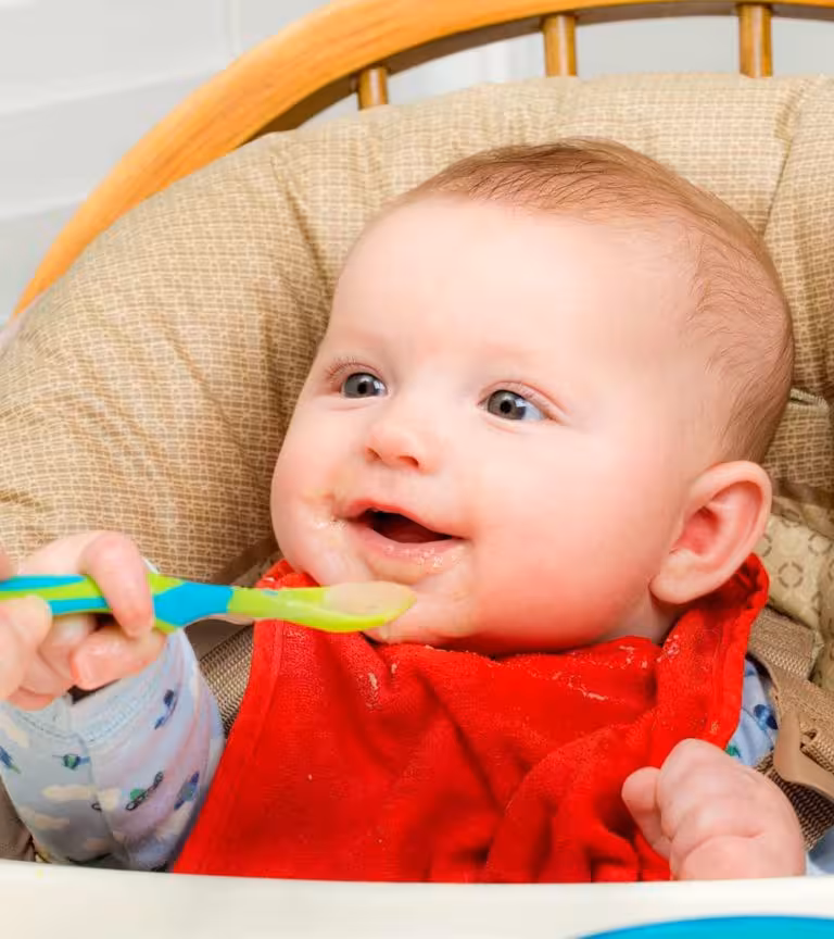 Delicious Wholesome Baby Food Recipes.