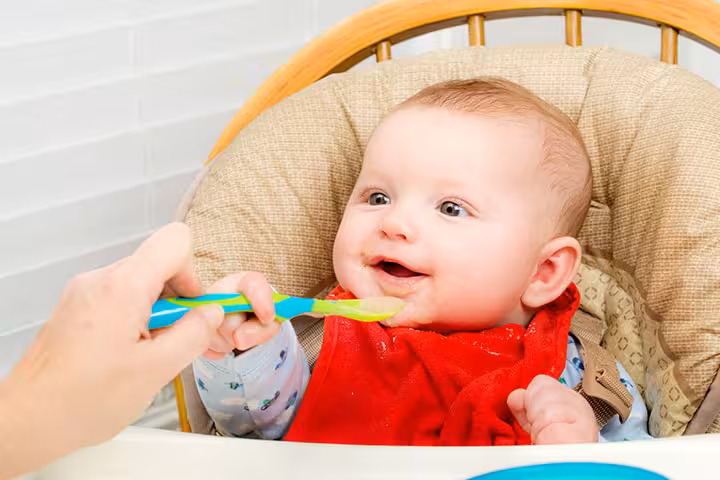 Wholesome Baby Food Delicious Wholesome Baby Food Recipes