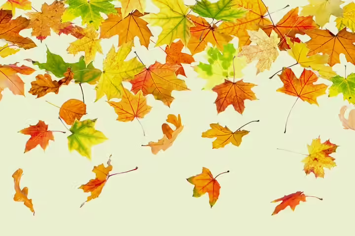 Family Tree Craft For Kids -Easy Autumn Leaves Painting Easy Autumn Leaves Painting