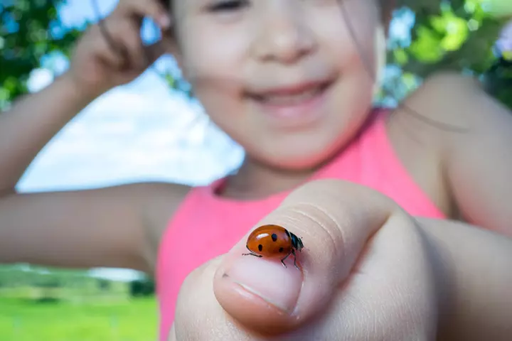 Exploring nature