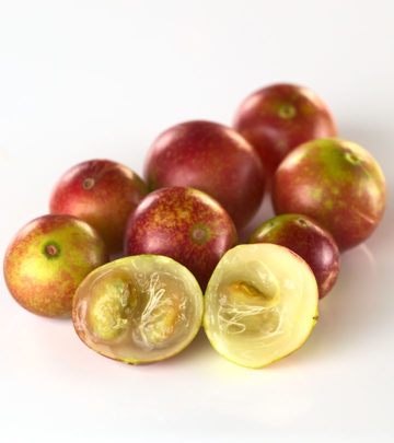 Fascinating Benefits And Facts About Camu Camu You NEED To Know!_image