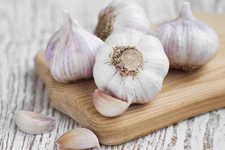 Garlic