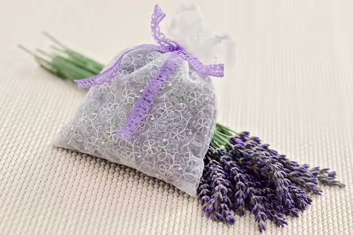 Family Tree Craft For Kids -Potpourri Light Jar Potpourri Light Jar