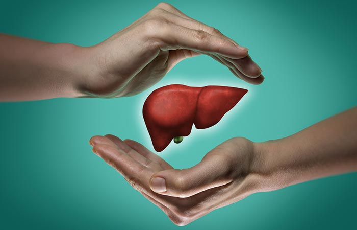 Protects Your Liver and Manages Obesity