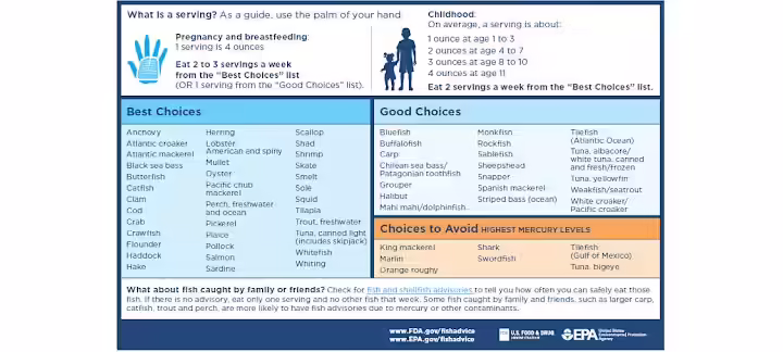 Safe Baby Seafood