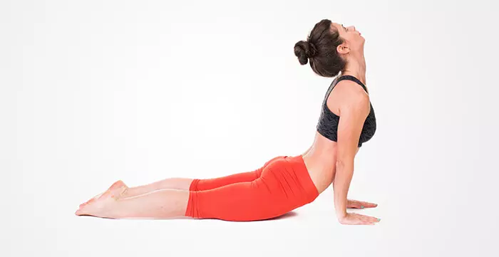 The Cobra Pose Or Bhujangasana