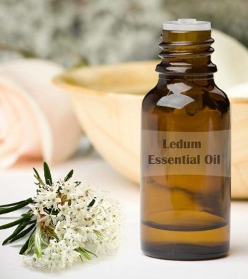 10 Amazing Health Benefits Of Ledum Essential Oil