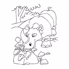 Angry Rhino