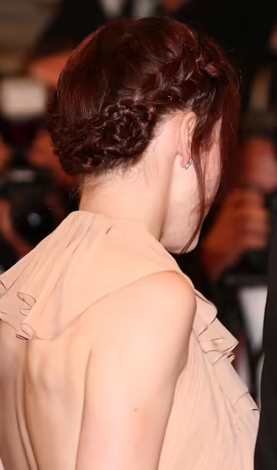 Halo Hairstyle - Thick Braids With Wispy Tendrils Thick Braids With Wispy Tendrils