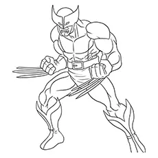 Wolverine