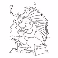 5. Porcupine Listening To Music