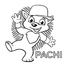 Pachi