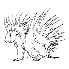 The Friendly Porcupine