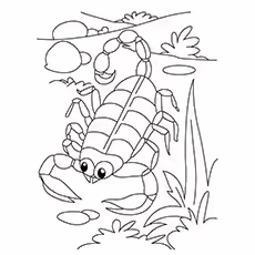 Scorpion Coloring Sheets - Arizona Bark Scorpion Arizona Bark Scorpion