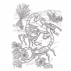 Scorpion Coloring Sheets - Black Scorpion Black Scorpion
