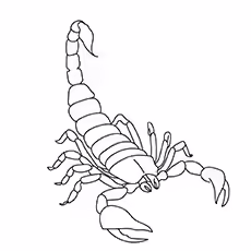 Blue Scorpion Blue Scorpion