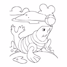Seal Coloring Pages - Cartoon Seal Cartoon Seal
