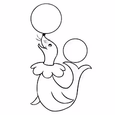 Seal Coloring Pages - Circus Seal Circus Seal