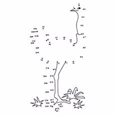 Ostrich Coloring Pages - Connect The Dot Ostrich Connect The Dot Ostrich