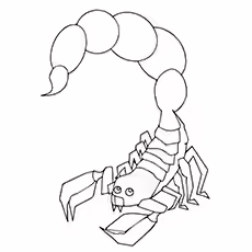 Scorpion Coloring Sheets - Deathstalker Scorpion Deathstalker Scorpion