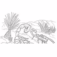 Scorpion Coloring Sheets - Emperor Scorpion Emperor Scorpion