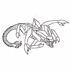 Scorpion Coloring Sheets - Fat Tail Scorpion Fat Tail Scorpion