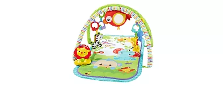 Fisher-Price 3-in-1 Musical Activity Gym