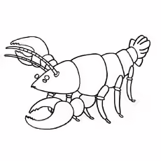 Larry The Lobster Larry-The-Lobster